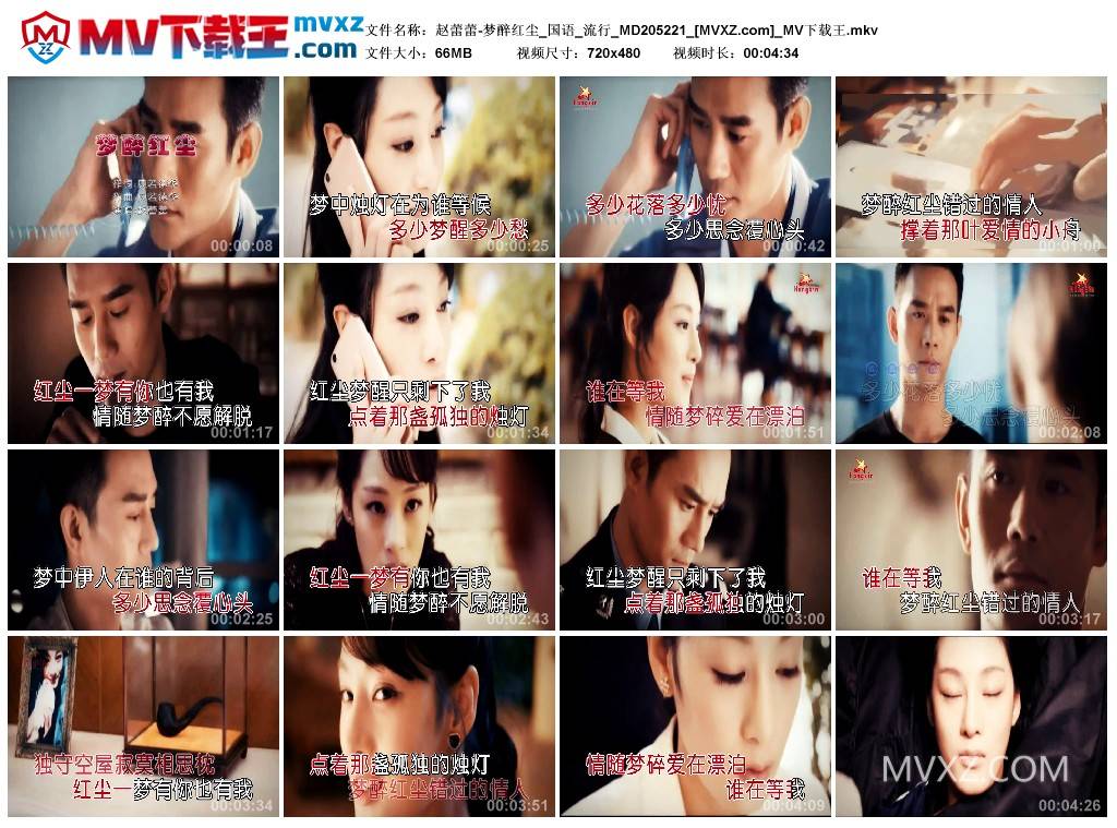 赵蕾蕾-梦醉红尘_国语_流行_MD205221